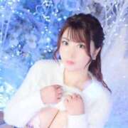 ヒメ日記 2024/12/21 15:14 投稿 ひなた チューリップ福井別館