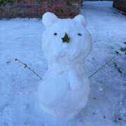 ヒメ日記 2025/01/09 17:10 投稿 ひなた チューリップ福井別館