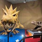 ヒメ日記 2025/01/23 15:44 投稿 ひなた チューリップ福井別館