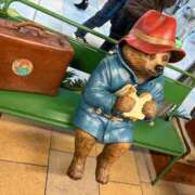 ヒメ日記 2025/01/25 21:25 投稿 ひなた チューリップ福井別館