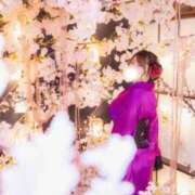 ヒメ日記 2025/04/07 16:34 投稿 ひなた チューリップ福井別館