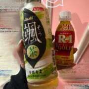 ヒメ日記 2025/04/10 09:14 投稿 ひなた チューリップ福井別館