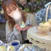 ヒメ日記 2025/06/12 19:34 投稿 ひなた チューリップ福井別館