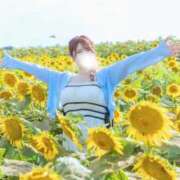 ヒメ日記 2025/08/16 16:24 投稿 ひなた チューリップ福井別館