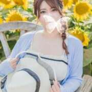 ヒメ日記 2025/08/30 01:54 投稿 ひなた チューリップ福井別館