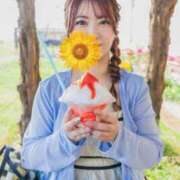 ヒメ日記 2025/10/12 14:40 投稿 ひなた チューリップ福井別館