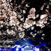 ヒメ日記 2025/04/14 12:23 投稿 杉内玲奈 こあくまな熟女たち岩国店(KOAKUMAグループ)