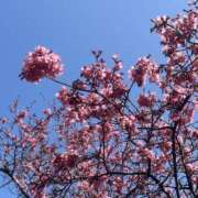 ヒメ日記 2025/03/08 09:46 投稿 くみ 横浜人妻セレブリティ（ユメオト）