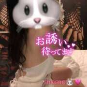 ヒメ日記 2025/09/16 10:52 投稿 もも/Momo VERY（ヴェリィ)