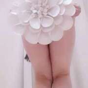 ヒメ日記 2025/02/15 09:18 投稿 花岡燈 五十路マダム愛されたい熟女たち岡山店（カサブランカグループ）