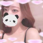 ヒメ日記 2025/04/24 11:43 投稿 西山　さおり スタイリッシュ秘書