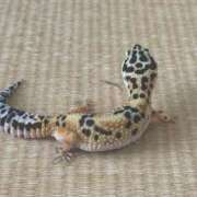 ヒメ日記 2025/02/04 10:33 投稿 ももせ 熟女家 十三店