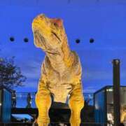 ヒメ日記 2025/08/07 21:01 投稿 ももせ 熟女家 十三店