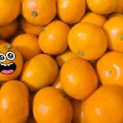 ヒメ日記 2025/12/31 10:10 投稿 なな キスMy