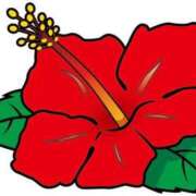 ヒメ日記 2025/09/02 17:37 投稿 おんぷ Candy×Candy （キャンディ×キャンディ）