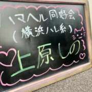 ヒメ日記 2023/08/01 10:00 投稿 上原しの ハマヘル同好会（横浜ハレ系）