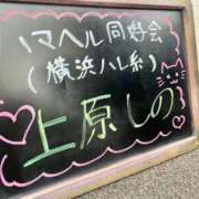 ヒメ日記 2023/09/04 08:09 投稿 上原しの ハマヘル同好会（横浜ハレ系）