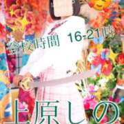 ヒメ日記 2023/09/26 16:00 投稿 上原しの ハマヘル同好会（横浜ハレ系）