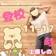 ヒメ日記 2024/01/11 11:00 投稿 上原しの ハマヘル同好会（横浜ハレ系）