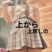 ヒメ日記 2024/12/14 12:00 投稿 上原しの ハマヘル同好会（横浜ハレ系）