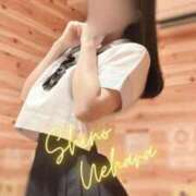 ヒメ日記 2025/01/28 16:00 投稿 上原しの ハマヘル同好会（横浜ハレ系）