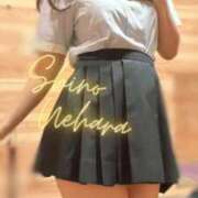 ヒメ日記 2025/02/08 14:00 投稿 上原しの ハマヘル同好会（横浜ハレ系）