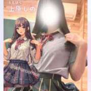 ヒメ日記 2025/07/15 07:30 投稿 上原しの ハマヘル同好会（横浜ハレ系）