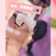 ヒメ日記 2025/12/02 16:45 投稿 上原しの ハマヘル同好会（横浜ハレ系）