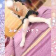 上原しの この冬はみかんをたべる🍊 ハマヘル同好会（横浜ハレ系）