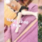 ヒメ日記 2025/12/13 11:45 投稿 上原しの ハマヘル同好会（横浜ハレ系）