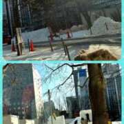 ヒメ日記 2025/01/24 10:40 投稿 りょう クラブ貴公子