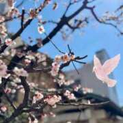 ヒメ日記 2025/03/10 16:47 投稿 りょう クラブ貴公子