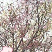 ヒメ日記 2025/04/24 16:44 投稿 りょう クラブ貴公子