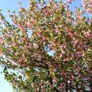 ヒメ日記 2025/05/22 17:07 投稿 りょう クラブ貴公子