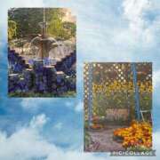 ヒメ日記 2025/06/24 18:43 投稿 りょう クラブ貴公子