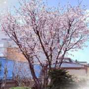 ヒメ日記 2026/04/21 12:48 投稿 りょう クラブ貴公子