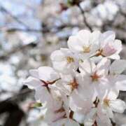 ヒメ日記 2025/04/10 23:12 投稿 れん スピード京橋店