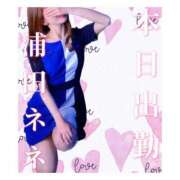 ヒメ日記 2025/05/20 11:41 投稿 浦田ねね Mrs. Dandy Shibuya