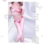 ヒメ日記 2025/09/14 12:21 投稿 浦田ねね Mrs. Dandy Shibuya