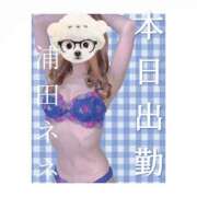 ヒメ日記 2025/11/13 18:31 投稿 浦田ねね Mrs. Dandy Shinjuku