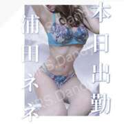 ヒメ日記 2025/11/27 11:31 投稿 浦田ねね Mrs. Dandy Shinjuku