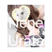 ヒメ日記 2026/02/12 01:39 投稿 浦田ねね Mrs. Dandy Shinjuku