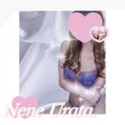 ヒメ日記 2025/03/31 11:14 投稿 浦田ねね Mrs.Dandy Kinshicho