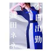 ヒメ日記 2025/04/20 04:11 投稿 浦田ねね Mrs.Dandy Kinshicho