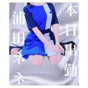 ヒメ日記 2025/05/06 14:21 投稿 浦田ねね Mrs.Dandy Kinshicho