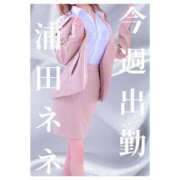 ヒメ日記 2025/07/24 14:14 投稿 浦田ねね Mrs.Dandy Kinshicho