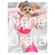 ヒメ日記 2025/09/29 00:46 投稿 浦田ねね Mrs.Dandy Kinshicho