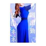 ヒメ日記 2025/12/16 23:51 投稿 浦田ねね Mrs.Dandy Kinshicho