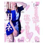 ヒメ日記 2026/07/13 08:48 投稿 浦田ねね Mrs.Dandy Kinshicho