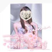 ヒメ日記 2025/02/27 12:03 投稿 浦田ねね Mrs. Dandy shinagawa